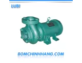 Catalog Máy Bơm Chìm Trục Ngang Lubi | Lubi Pump