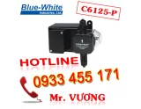 Catalog máy bơm định lượng Bluewhite | Thuận Hiệp Thành