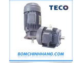 CATALOG MOTOR ĐIỆN TECO | Catalogue Teco Pump