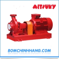 Bơm ly tâm trục ngang rời trục đầu gang Mitsuky 100x80 2JA537 50 HP 