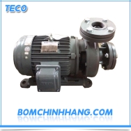 Máy bơm ly tâm trục ngang đầu gang Teco G315-200-4P-15HP 