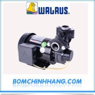 Máy bơm nước bánh răng đẩy cao Walrus TP325 1/2 HP