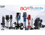 BẢNG GIÁ MÁY BƠM NƯỚC CNP FULL MỚI NHẤT THÁNG 8-2024