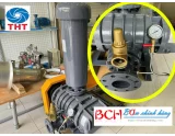 BẢNG GIÁ MÁY THỔI KHÍ MARO FULL MỚI NHẤT THÁNG 9-2024