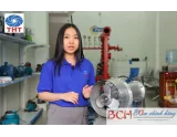 BẢNG GIÁ MÁY KHUẤY CHÌM MARO MỚI NHẤT THÁNG 10-2024