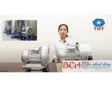 THUẬN HIỆP THÀNH cửa hàng đại lý MÁY THỔI KHÍ CON SÒ HONG HELONG TẠI TPHCM